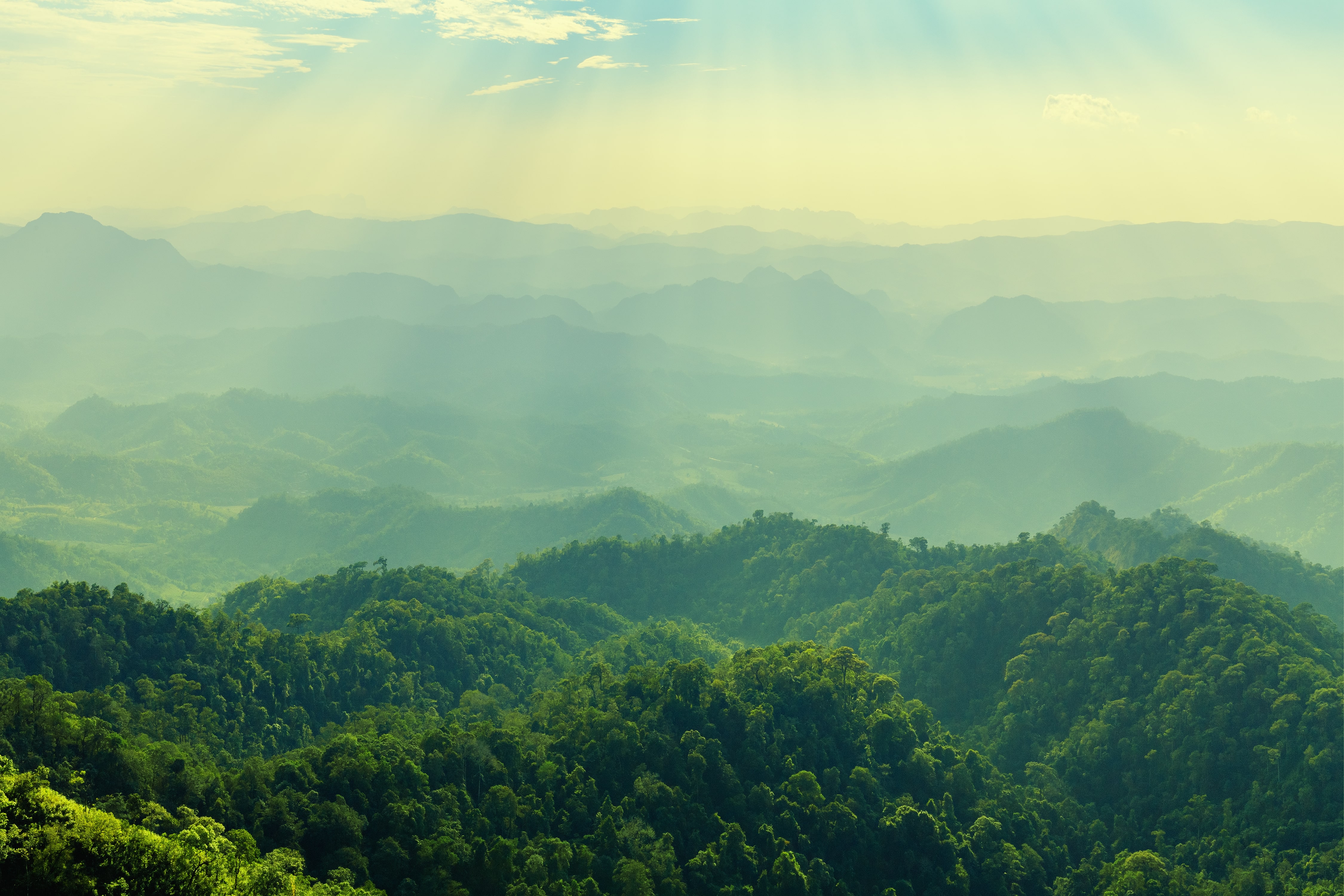 An image of healthy green rolling hills.