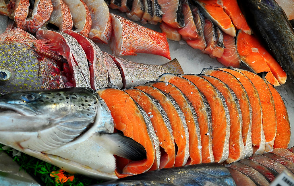 Coming to a grocery store near you: The Campaign for GE-Free Seafood