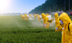 Keeping Pesticide Riders out of the Farm Bill