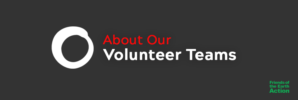 About Our Volunteer Teams