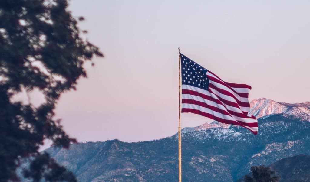 US Flag in Nature