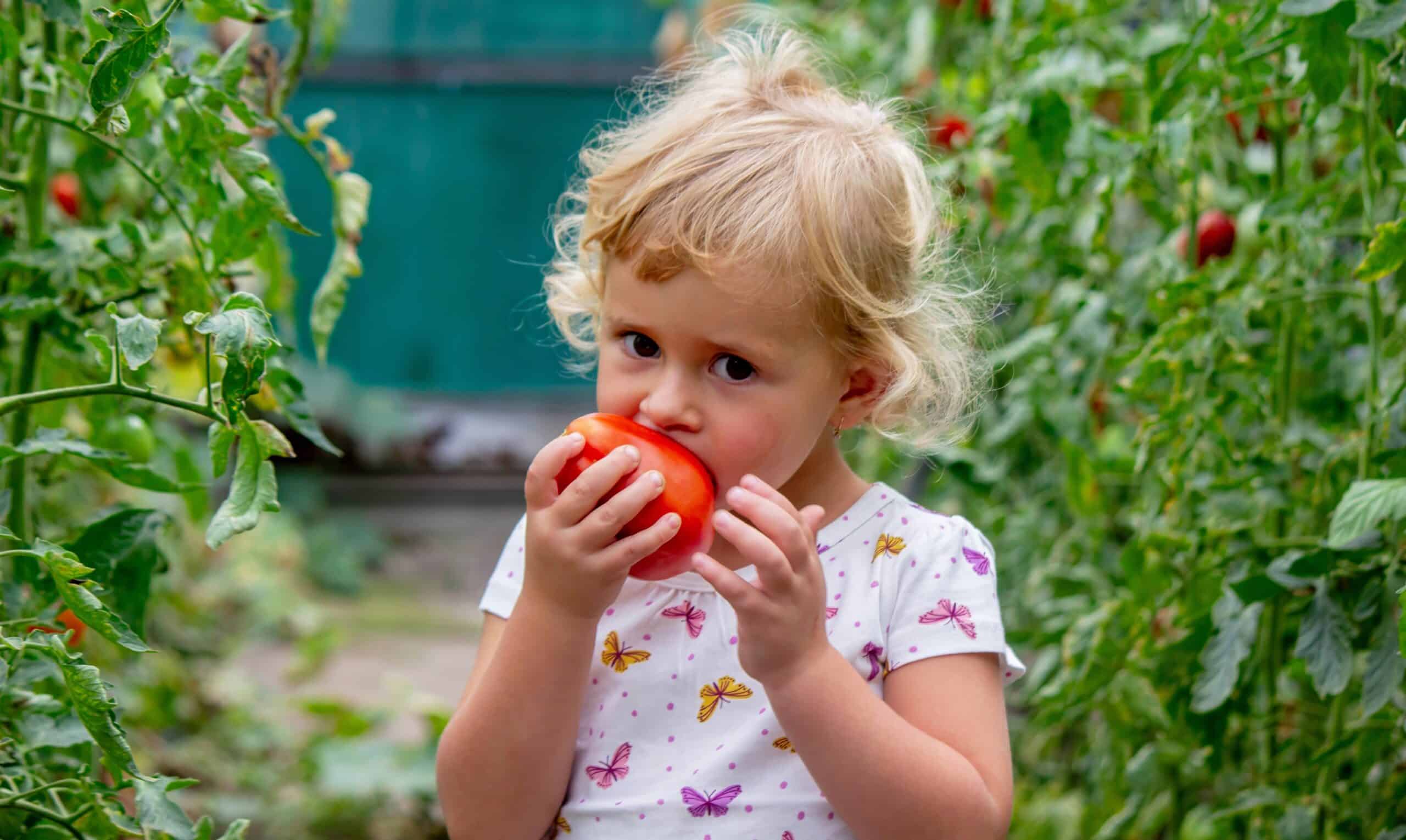 May contain a person eating a tomato in a garden.