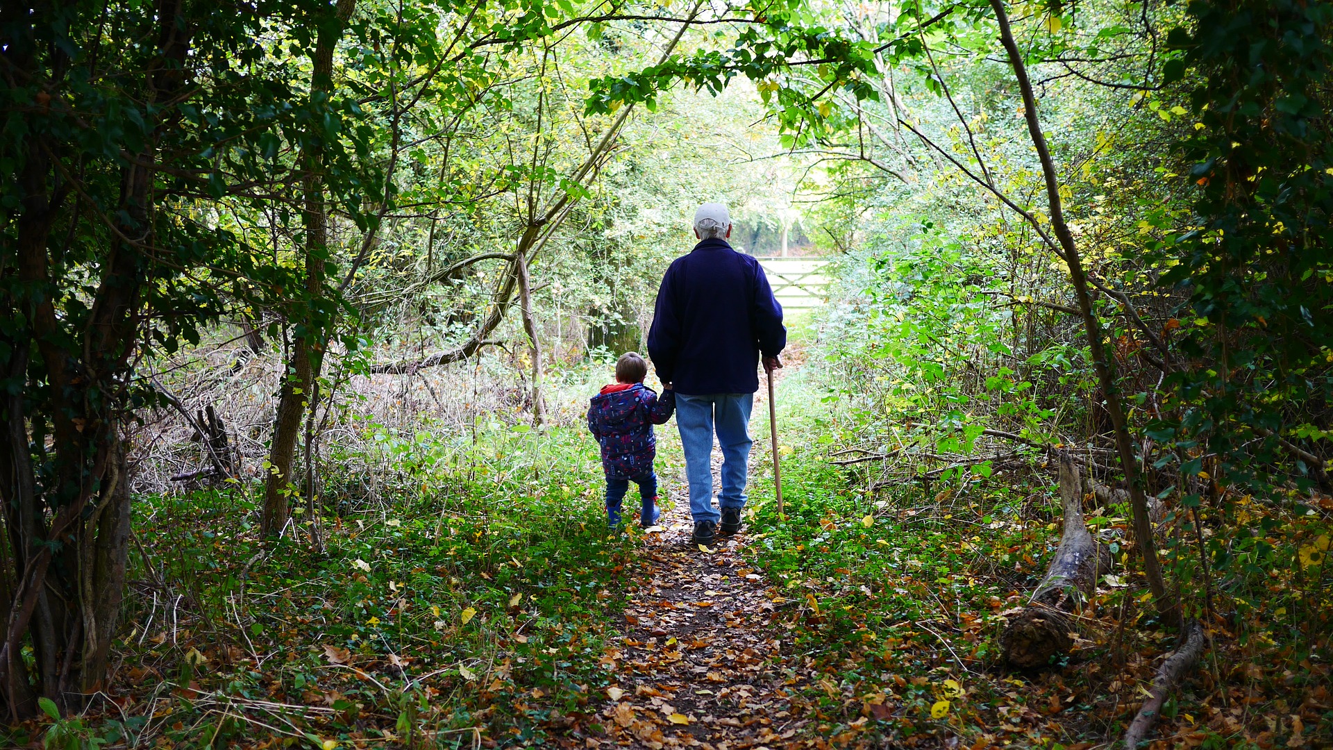May contain two people walking on a leaf-covered path in a wooded area.