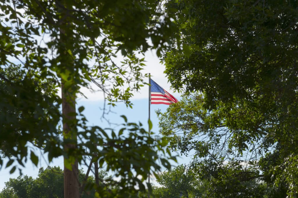 May contain an American flag on a pole through green leaves and blue sky.
