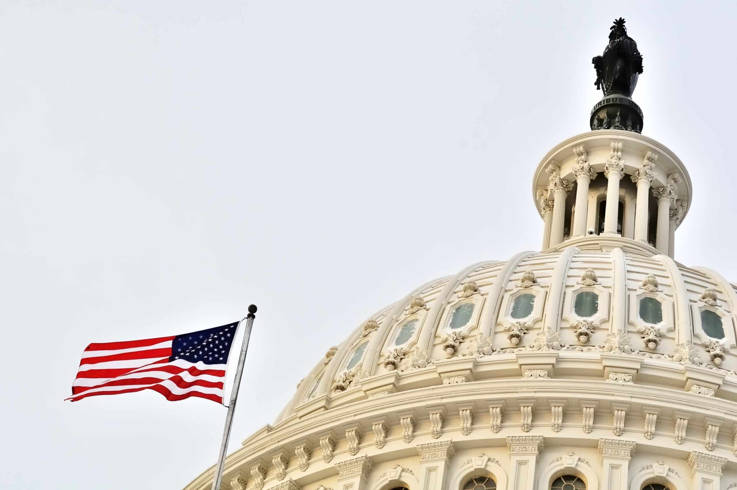May contain an American flag and the United States Capitol dome against a cloudy sky.