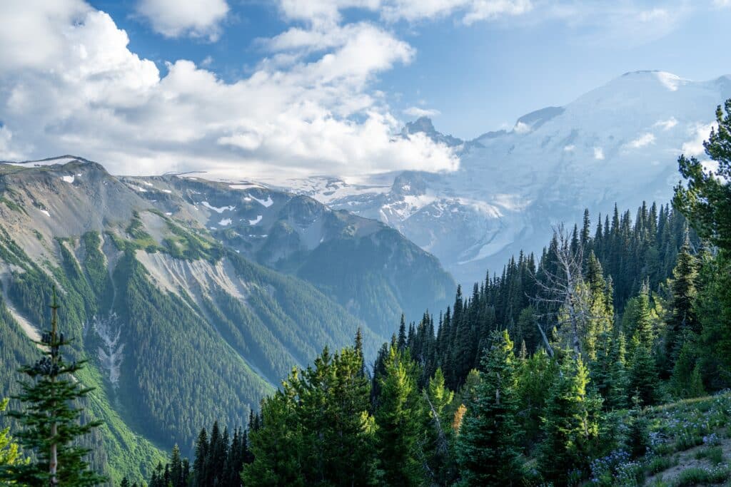 May contain mountains, forests, and clouds.