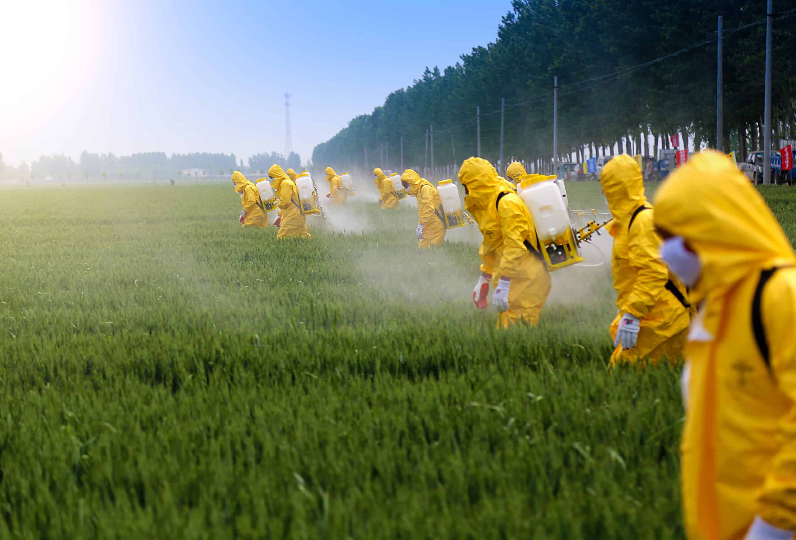 May contain multiple people in yellow suits spraying a green field.